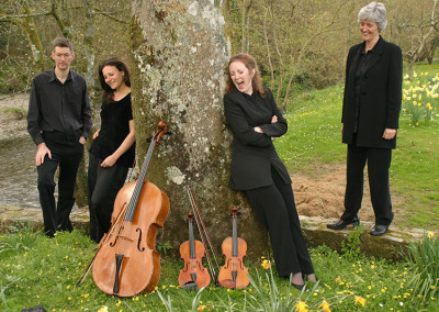 Rosewood String Quartet