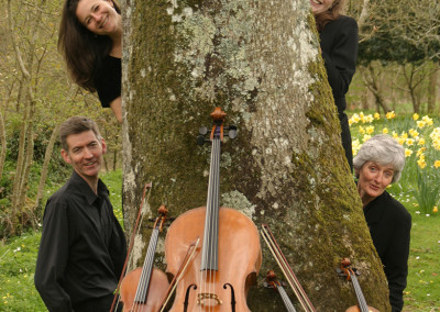 Rosewood String Quartet
