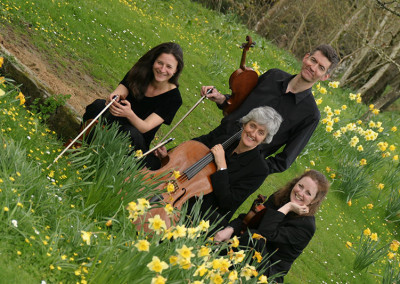Rosewood String Quartet